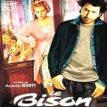 Le bison
